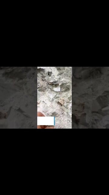 Se le conoce como el oro de los tercos con su brillo metálico y su forma de cristales cuboides.Spain