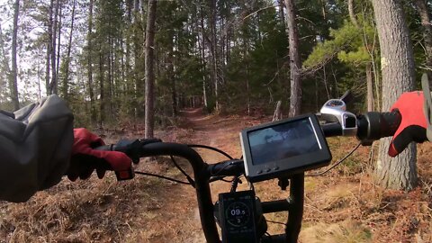 Ebiking Through the Trails ( ARIEL RIDER GRIZZLY )