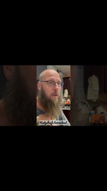 Is my beard in frame #hedgehogshomestead