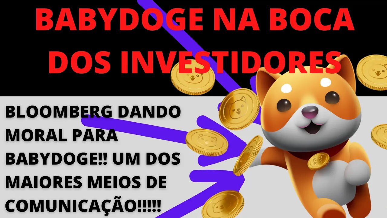 #Babydoge sendo falada na Bloomberg, um dos maiores canais de notícias - 101