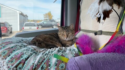 Really Human? I was sleeping.