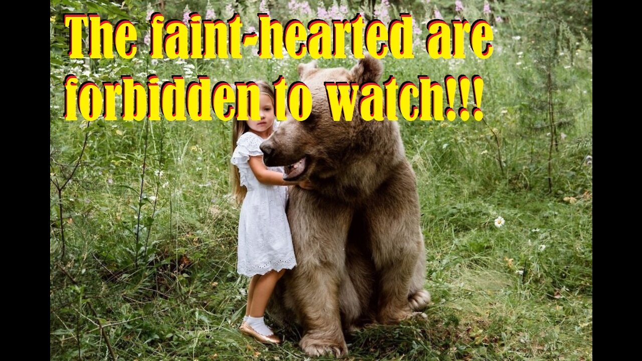 A girl from Russia has finished playing with a wild bear.