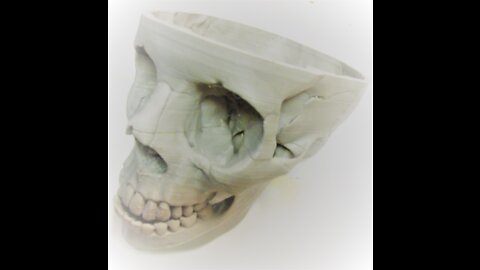 3D Printed human skull section Support removal ASMR video NO TALKING