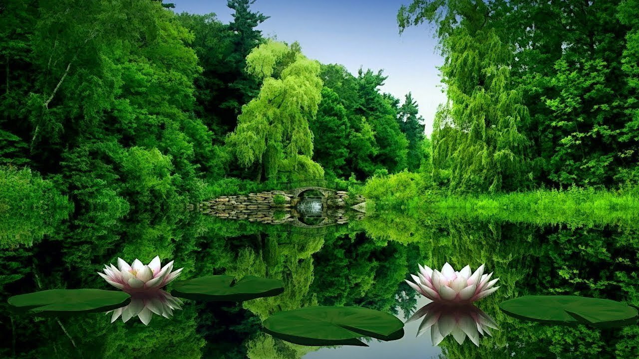 Music Mix # 5 🎧🎧🎧