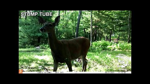 Stump Tube Episode #2