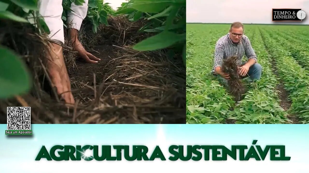 Agricultura Sustentável - com Frederico Olivi @Riza Sementes