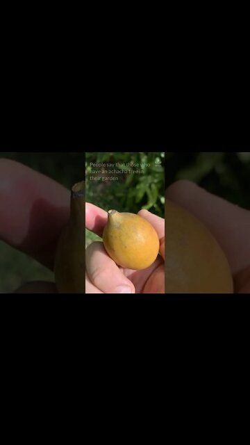 This Fruit Can Replace The Little Blue Pill and More #shorts