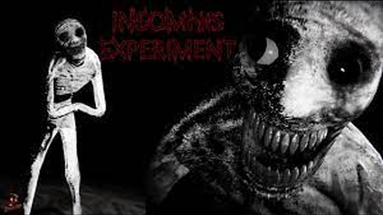 insomnis experiment you will never sleep again!!