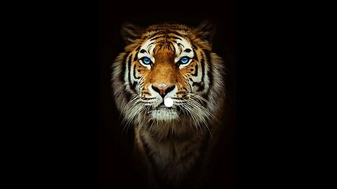 King of the jungle
