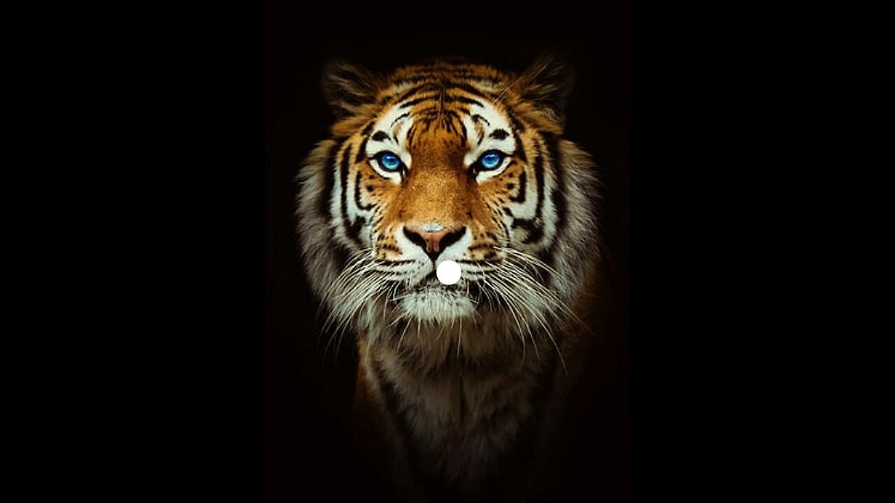 King of the jungle