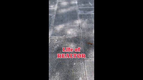 Realtor life