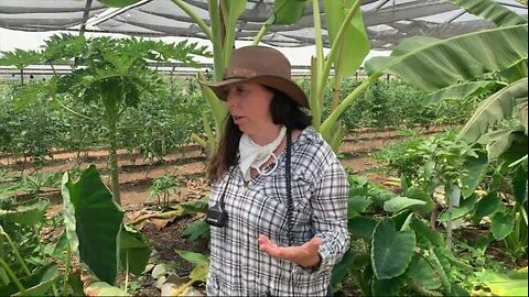Mollie Engelhart - Rain Forest Greenhouse Tour