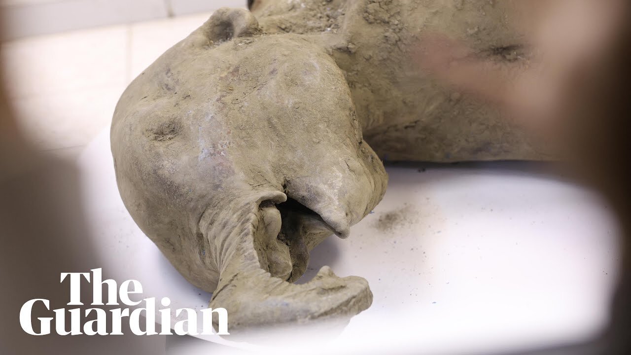 'World's best-preserved mammoth' found in Siberia