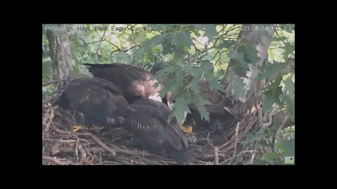 Hays Dad brings in fish Dad then Mom feeds family breakfish 6421 10:26AM