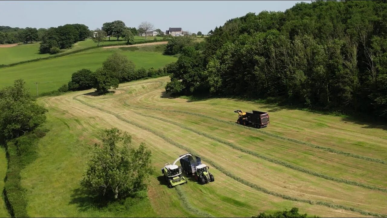 Farmer Makes Hay while the Sun Shines (shorter version)