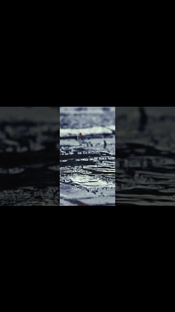 FUJIFILM X-T4 em 240fps com FUJINON 200mm f/2 #Shorts