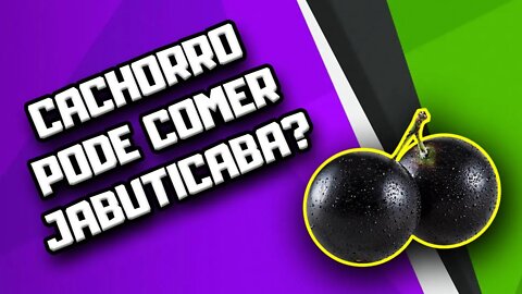 Cachorro pode comer Jabuticaba? | Dr. Edgard Gomes | Alimentação natural para Cães