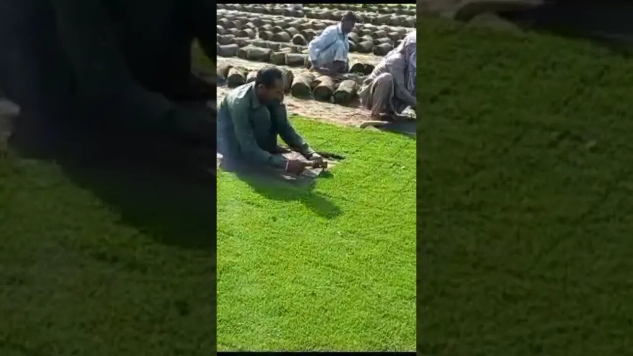 #GreenarcLandscapers #naturedesign #religion #madina #makkah #viral #pti