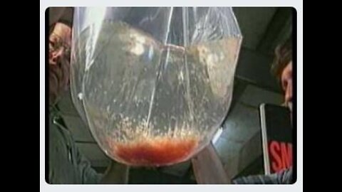 Catfish Spawning and Hatchery Management