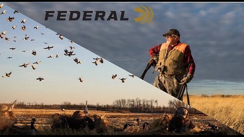 Federal Premium Shotshell Loads
