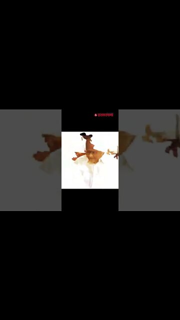 Shorts | Udayanraje Bhosale | आमच्याबद्दल जर कोणी वाईट बोललं तर आम्ही बांगड्या घातल्या नाहीत;