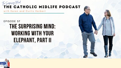 Episode 37 - The Surprising Mind: Working with your elephant, Part II