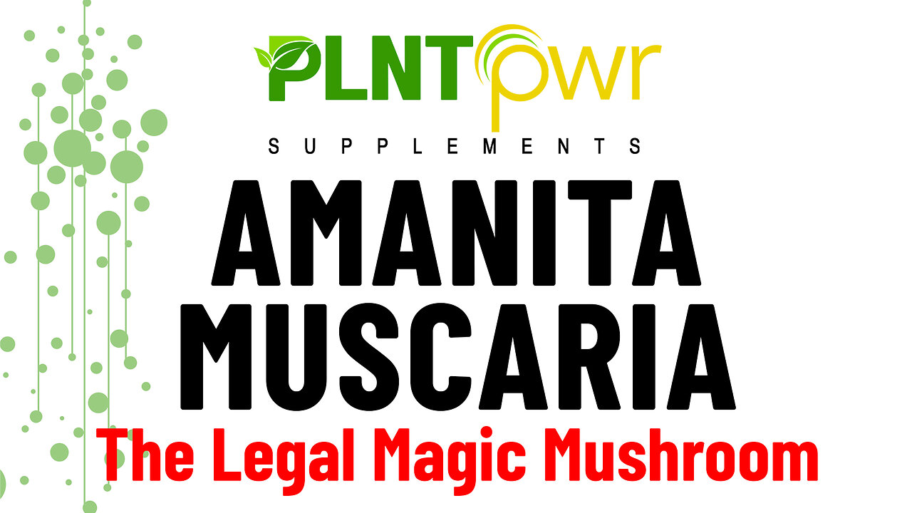 AMANITA MUSCARIA - THE LEGAL MAGIC MUSHROOM