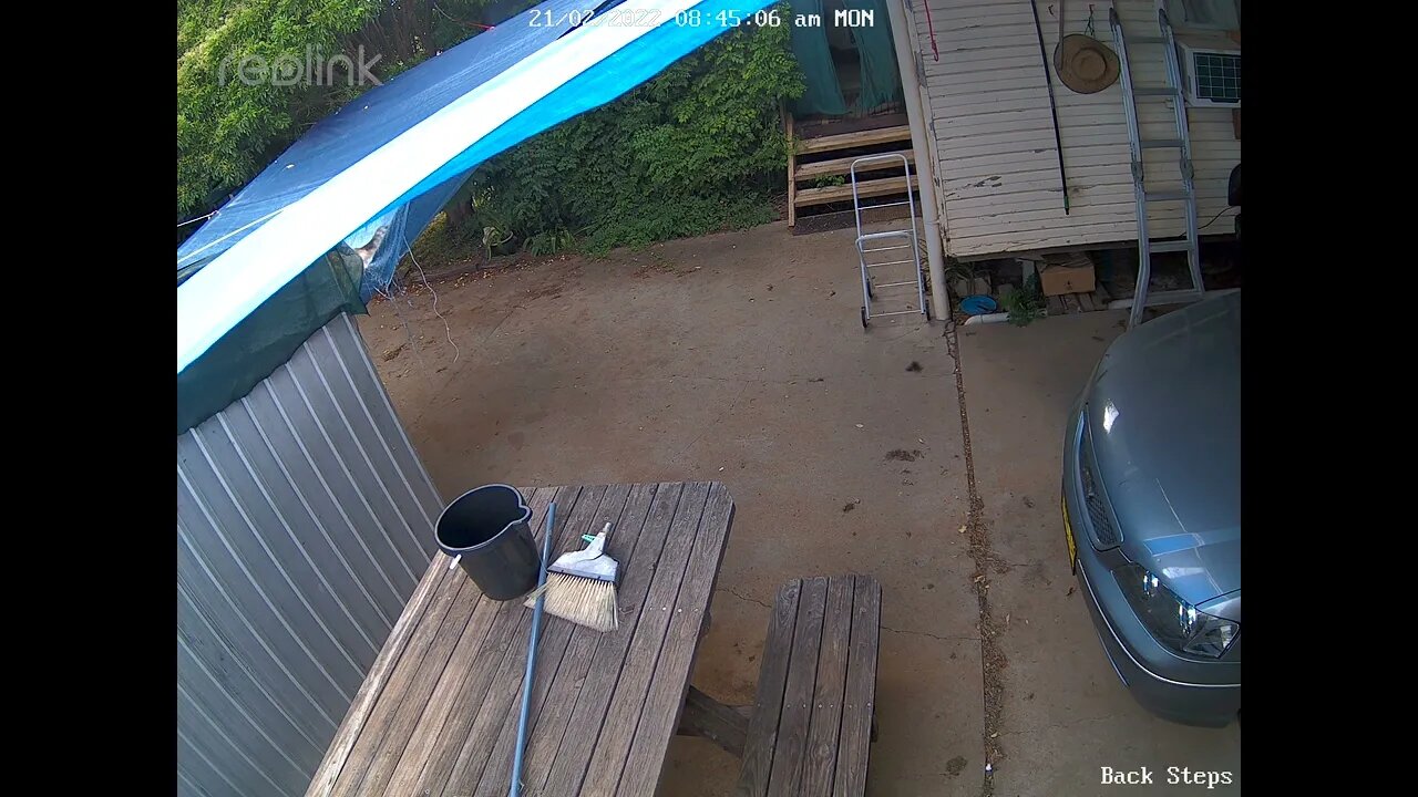 Hairy falling through old Tarp