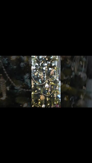 Presents under the Christmas tree at Grandma's House #Shorts