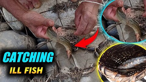 Fishing Time | Man catching ill Fish In River