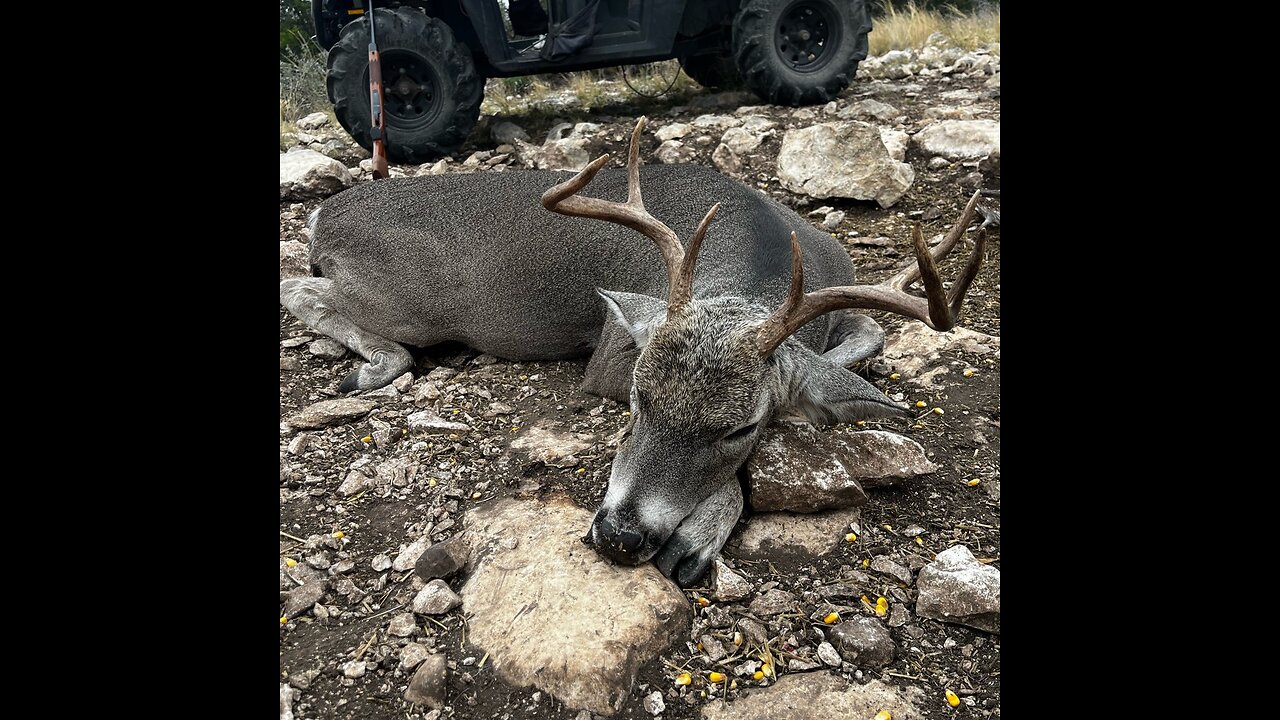 -Redemption- Texas Hunting, Target Buck DOWN! (Part 3)