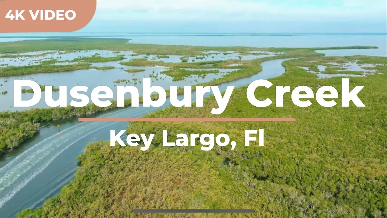 Relaxing in Key Largo’s Dusenbury Creek | Florida Keys Cinematic Drone Video