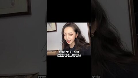 我家米妞最近還一直在長身體 #荷蘭豬#豚鼠
