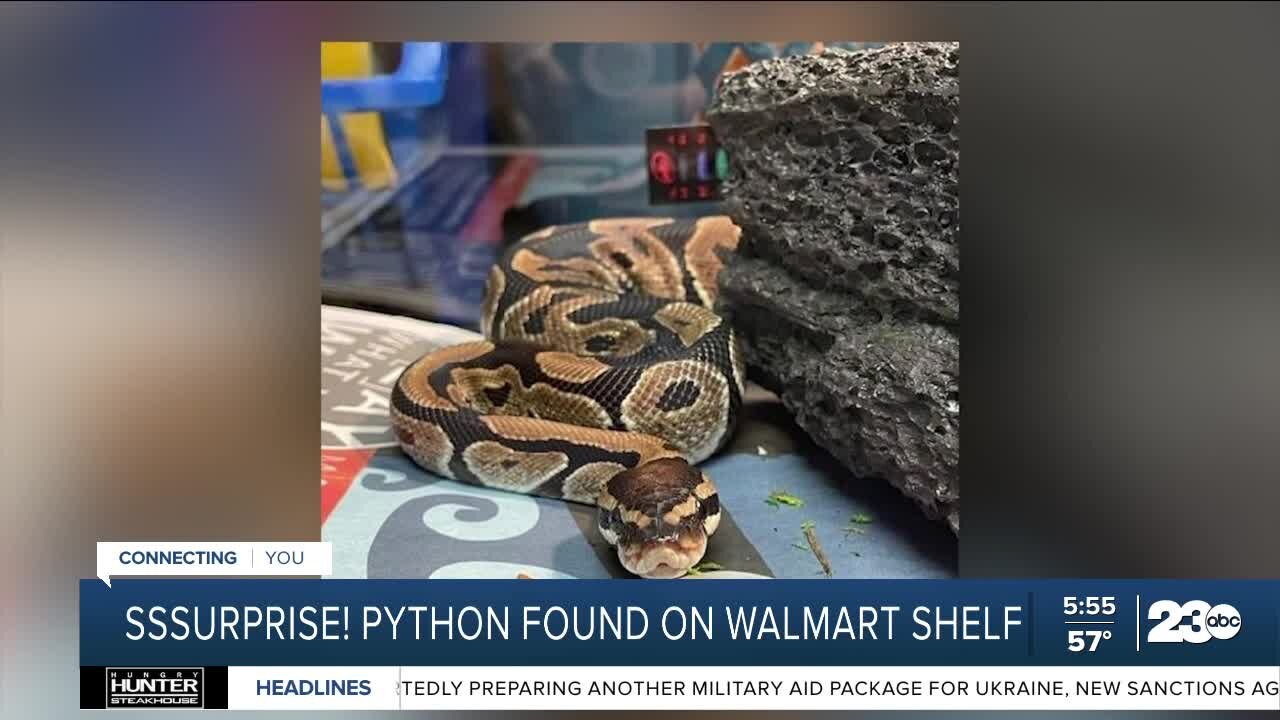 Check this Out: Indiana Walmart shoppers find snake on a shelf