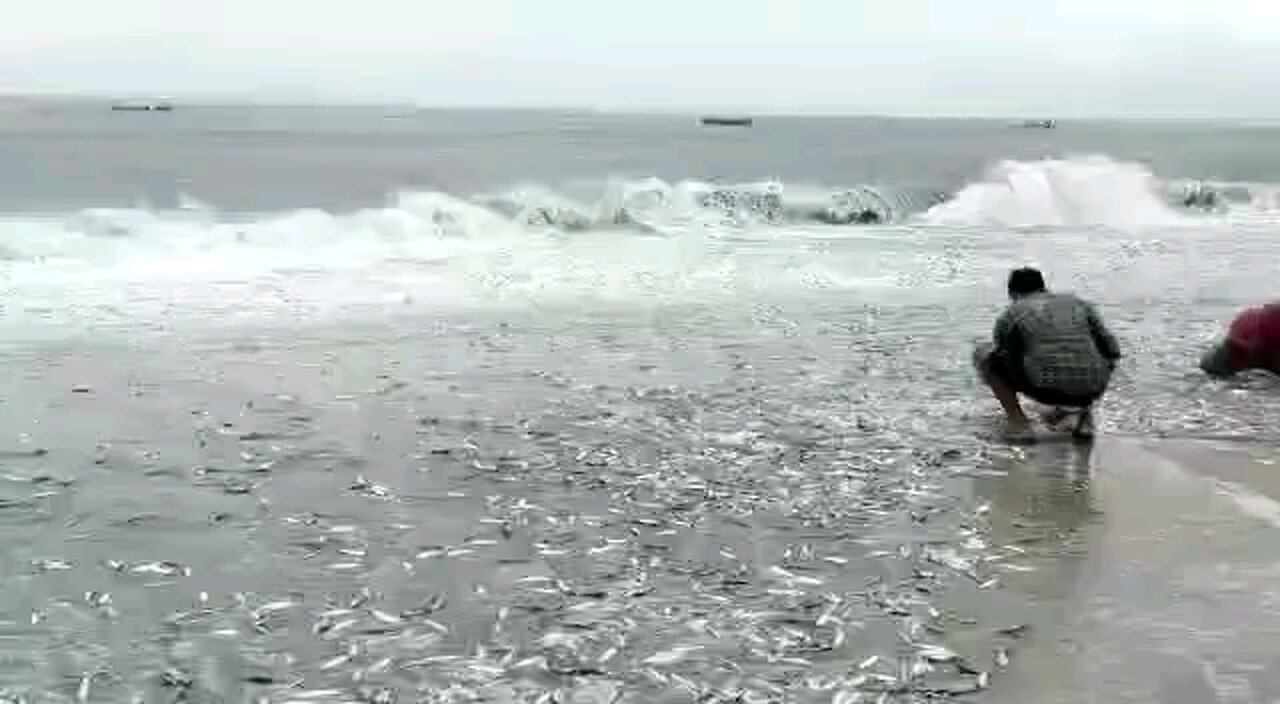 Machilipatnam Beach