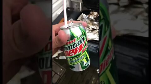 BBQing chicken and fish