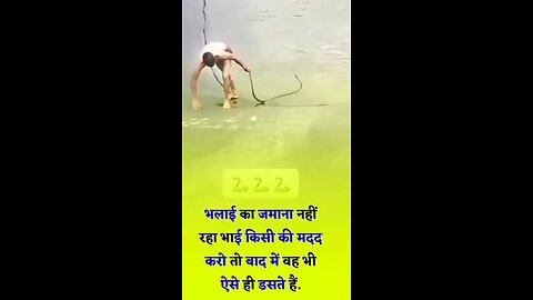 said video #video #comedyvideo