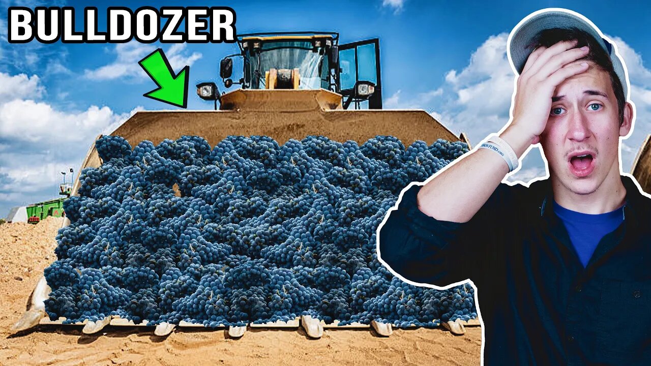BREAKING: Israel's Defense Minister DESTROYED This ENTIRE Vineyard