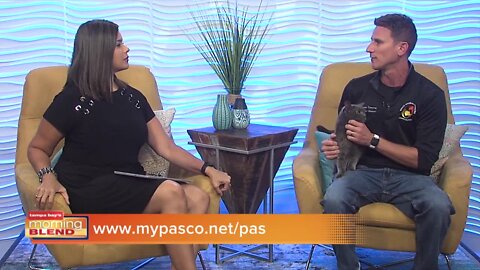 Pasco Animal Services | Morning Blend