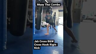 Muay Thai Combo