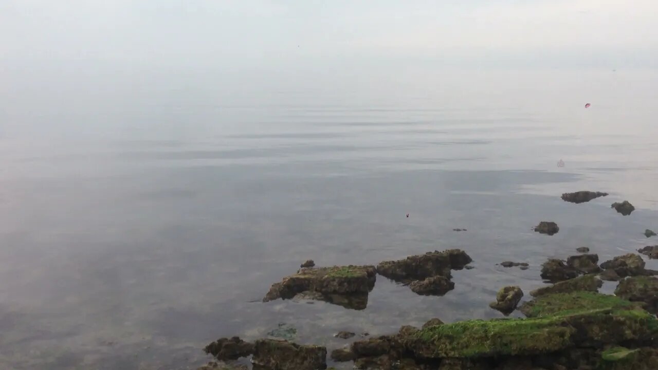 Coastal wetland in front of the former General Hospital Panagia