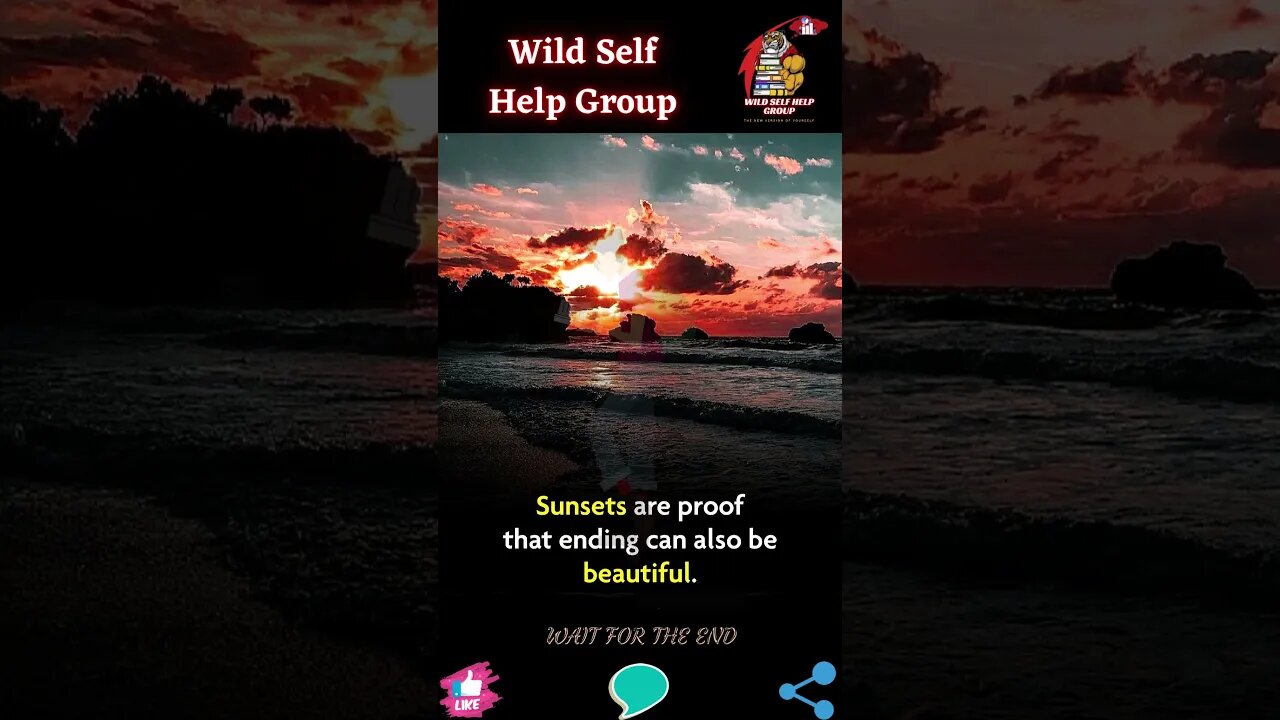 🔥 Sunset 🔥 #shorts 🔥 #wildselfhelpgroup 🔥 30 June 2023 🔥