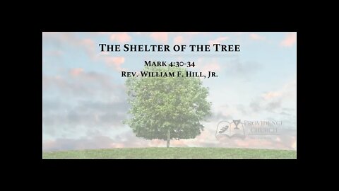 The Shelter of the Tree