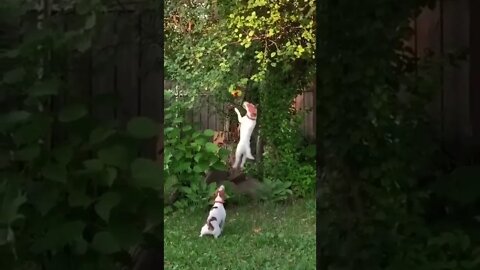 என்னா தைரியம்