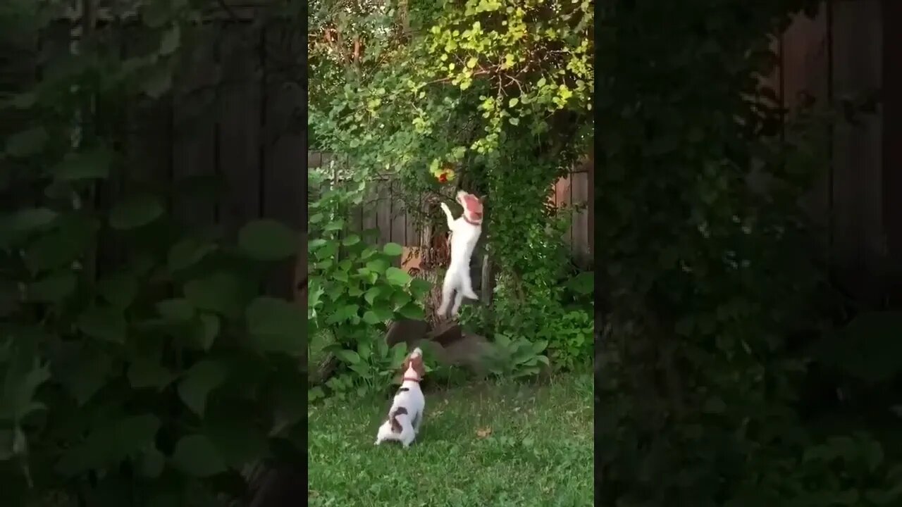 என்னா தைரியம்