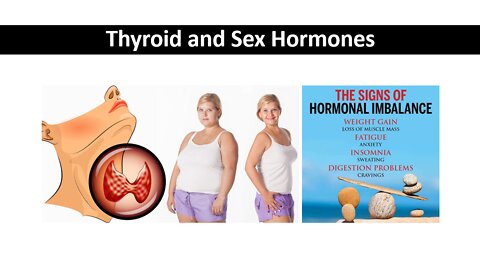 Weight Management 9 - Thyroid & Sex Hormones