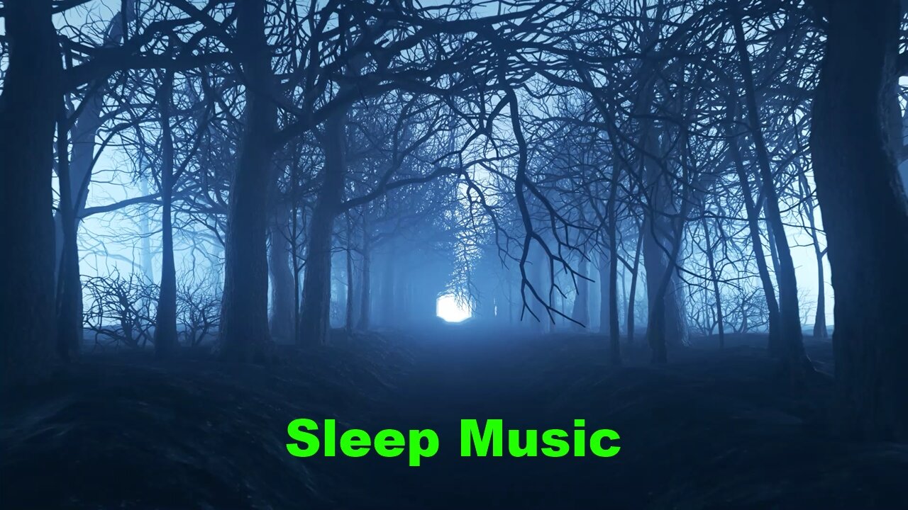 Dark Forest Night Time Sleepy Music