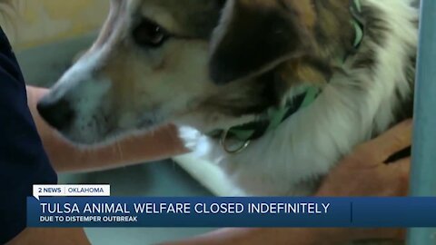 Tulsa Animal Welfare Closed Indefinitely