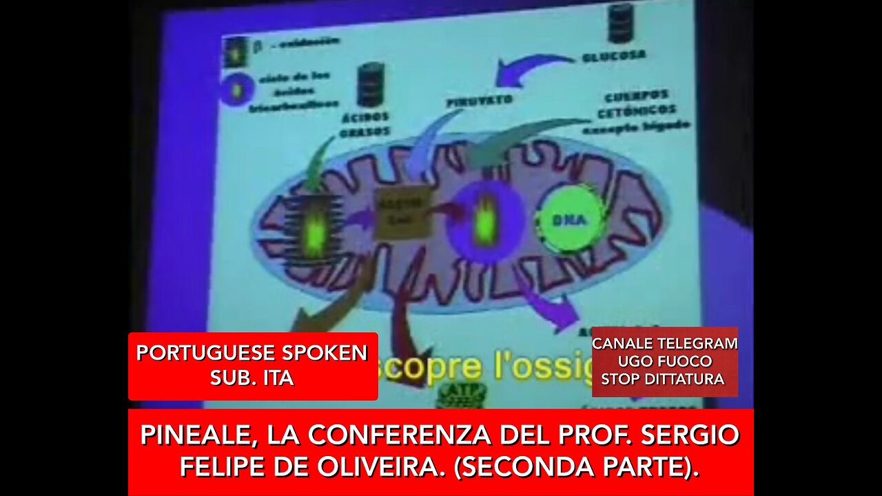 PINEALE, CONFERENZA DEL PROF. SERGIO FELIPE de OLIVEIRA (SECONDA PARTE)