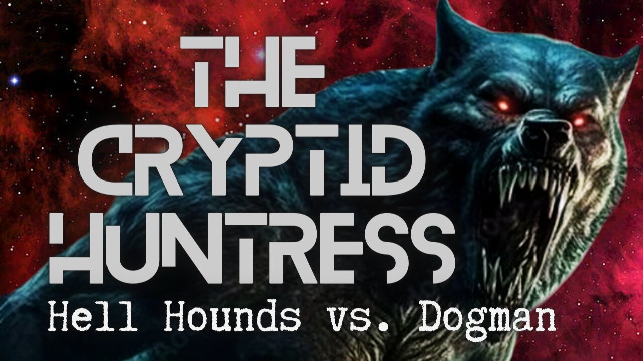 HELLHOUNDS VS. DOGMAN WITH AUTHOR JOHN VANDEVENTER